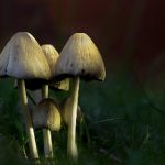 76588期最新开奖结果查询与详细分析 7diiqu7