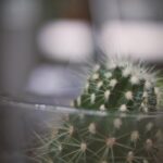 NBA手机免费直播软件推荐,随时随地畅享高清赛事 5zvg5lx