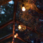 NBA手机视频直播软件:随时随地畅享高清篮球赛事 x41kw8l0j